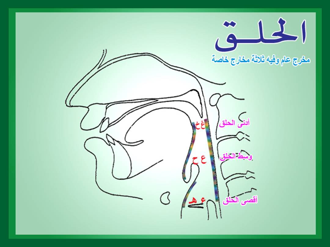 تجويد الحرف - مخارج الحروف